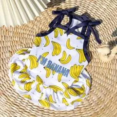犬服　猫服　ペット　ワンピース　Ｍサイズ　トロピカル　バナナ　フルーツ