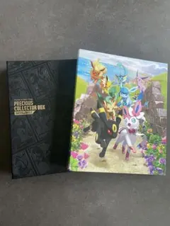 ポケカ　コレクションファイル◆リザードン　イーブイヒーローズ他　まとめ売り 70726f647563742f32303235303532