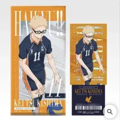 月島蛍 ハイキュー!! 一番くじ I賞 チケットケース ＆ クリアカードセット