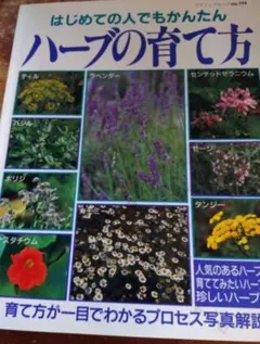 Item thumbnail for item 5a0554aa-9a05-41eb-8940-3c0253e08b2b