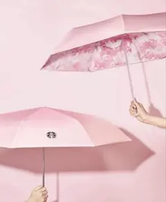 韓国　スターバックス　桜　2026 ブルーミング　傘　スタバ　猫