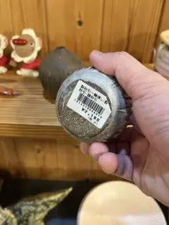 Item thumbnail for item bc8d5791-0eca-4dfd-bd64-e921c02d300a