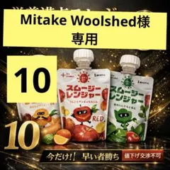 スムージーレンジャー10点　Mitake Woolshed様専用
