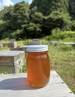 Item thumbnail for item 2e1c2623-a83e-45a6-807b-354b79f34eb9