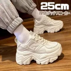 レディース 25 厚底 スニーカー ダッドスニーカー 韓国風 軽量 美脚のサムネイル