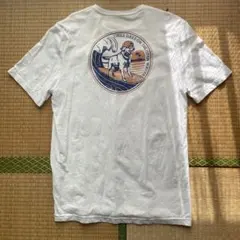 アメカジ IZOD saltwater 犬 サーフィン Tシャツ 白T メンズ