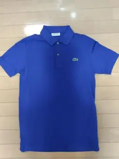 Item thumbnail for item 43de8294-f50f-468a-a716-8d6bda985144