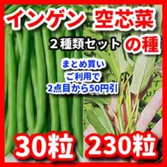 tts luuly様 リクエスト 2点 まとめ商品