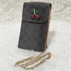 C4✨極希少✨COACH コーチ トートバッグ シグネチャー チェリー柄 C4✨極希少✨COACH コーチ トートバッグ シグネチャー チェリー