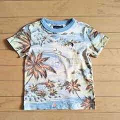 POLO RALPH LAUREN☆半袖 Tシャツ 3 100
