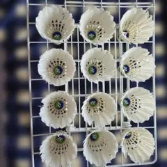 新品未使用ニューオフィシャル4番2ダース 楽天市場】シャトル new official 4番の通販