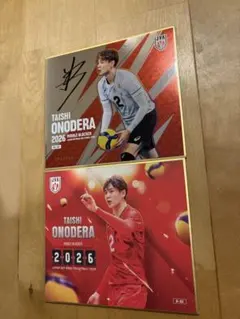 バレーボール男子日本代表2026のトレーディングmini色紙 小野寺 - メルカリ