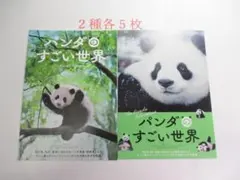 user_3723b2ab様 リクエスト 2点 まとめ商品