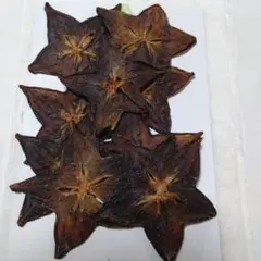 Item thumbnail for item 5fcd4f77-fc03-4ec5-bf56-dc8722f137f4