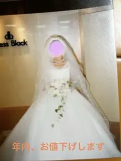 ウェディングドレス、パニエ2種、ロングベール、手袋、 全てセットでの提供です。