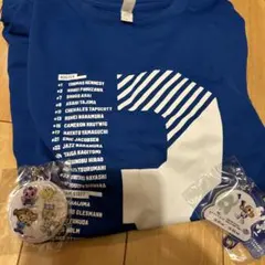 茨城ロボッツ Tシャツ Lサイズ