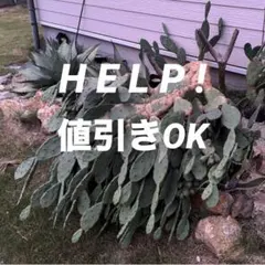 たー様 リクエスト 2点 まとめ商品