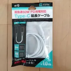60W Type-C 延長ケーブル 1.0m