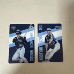 Item thumbnail for item e4f60853-66c5-4238-baf2-fb976cbc794d