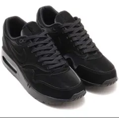 NIKE AIR MAX 1 '86 OG FZ3007-001のサムネイル