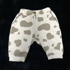 バースデー 牛柄パンツ
