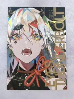LAM初個展図録「目と雷」雷雷公社 個展画集 イラスト集