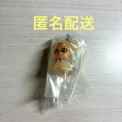 SKZOO パピーム スキズ ガチャ めじるしアクセサリー