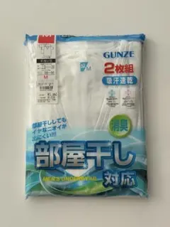 GUNZE 半袖V首 2枚組 M 部屋干し対応