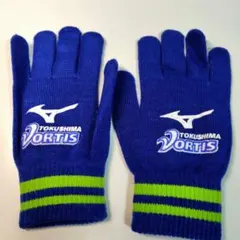 Item thumbnail for item c584879d-20c0-4550-9e7d-afbafe119f05