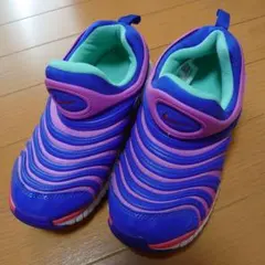 NIKE ナイキ ダイナモフリー 21cm