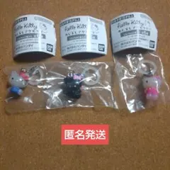 HELLO KITTY めじるし アクセサリー 小悪魔 お花 スタンダード