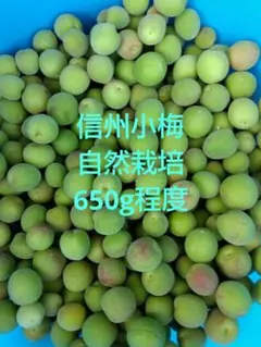 信州小梅　自然栽培　650g程度のサムネイル