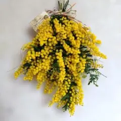 フレッシュミモザのシンプルスワッグ　⑨