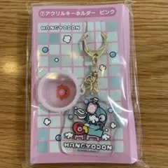 ハンギョドン アクリルキーホルダー サンリオ当りくじ
