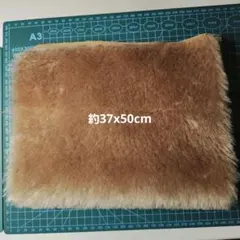 Item thumbnail for item 72d690ec-f0d3-4c0f-92f6-48a8eb1ecb7f