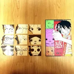 ワンピースビブルカード全バインダー 全カードセット ビブルカード