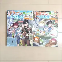 社畜の俺、ドラゴンに憑かれたのでペット配信を始めます 全2巻