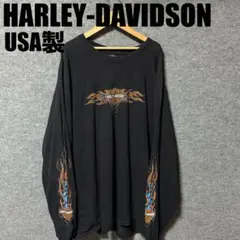 USA製 HARLEY-DAVIDSON ブルーフレイム　袖プリHANES