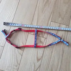 Item thumbnail for item 2472927e-51df-456a-9ac5-cf1d23e1ff89