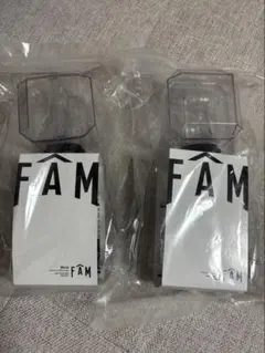 timeless FAM ペンライト 2個セット