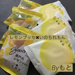[文明堂✖︎ラグノオささきc瀬戸内レモンブッセ３個カスタードケーキいのちれもん３個のサムネイル