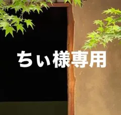 ちぃ様専用 おまとめ同梱