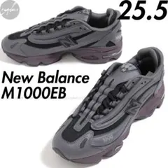 25.5cm 新品 NEW BALANCE M1000EB MAGNET