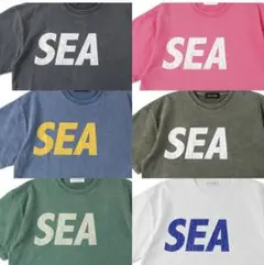 WIND AND SEA SEA (P-DYE) S/S Teeのサムネイル