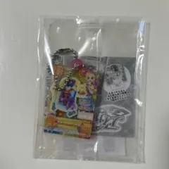 アイカツ！だれでもアイドル活動アクリルチャーム2 ピーターアドベンチャー ひなき