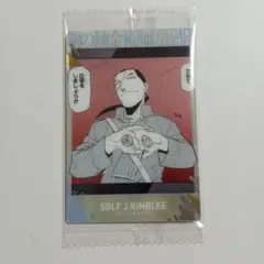 【未開封】鋼の錬金術師ウエハース　2-13