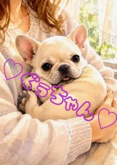 《一点限り》フレンチブルドッグ 腕の中で甘える姿