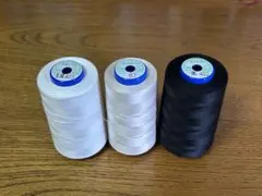 Item thumbnail for item 0b528b1b-f873-4224-a17e-78cc0265cf7e