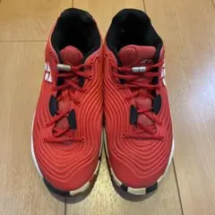 Item thumbnail for item 97bc8c0c-41fc-4f30-9737-553ea21b33fa