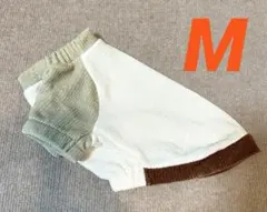 Item thumbnail for item 219b3ede-eda9-4203-b899-96934ec50c0a